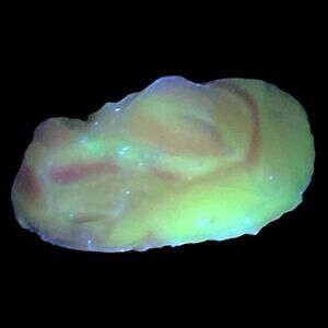 Pink White‎ Swirl Art Glass Cullet Glowing Manganese Slag Glass #5GM45